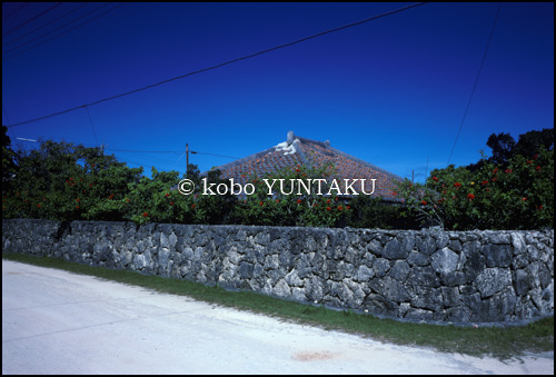 黒島の民家　1995年6月