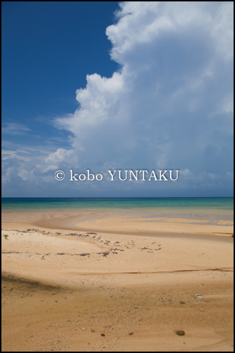 石垣島 平久保川付近の海岸 2006年