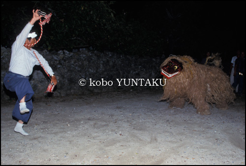 離島の息づかい~ハート愛ランド黒島~
獅子舞